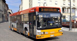 paviabus