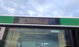 Treviso